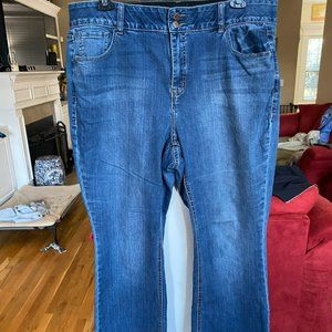 Lane Bryant Tighter Tummy Tech Jeans